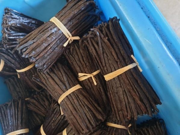 Vanille de Madagascar - Image 4 de la galerie