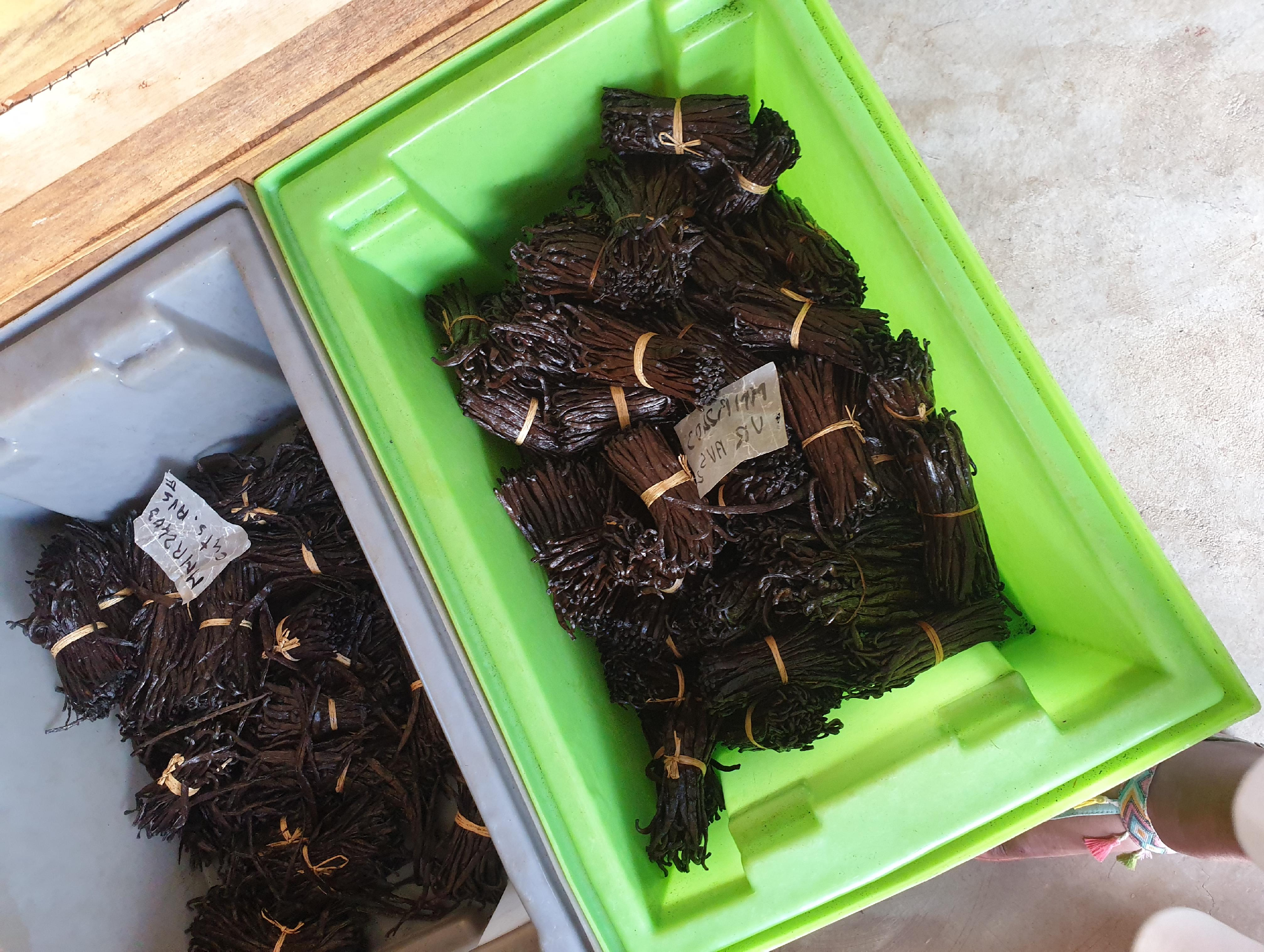 Vanille de Madagascar - Image 6 de la galerie