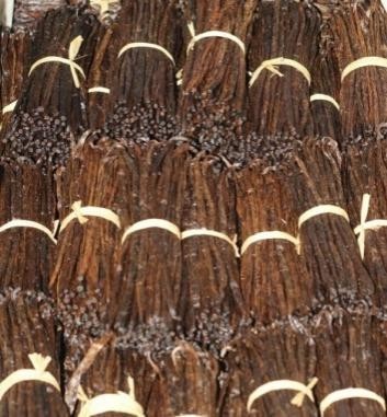 Vanille Rouge de Madagascar - Gousses de haute qualité