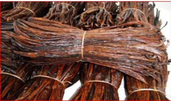 Vanille de Madagascar - Image 2 de la galerie